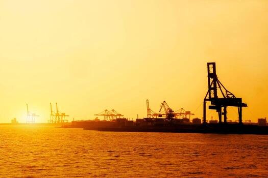 Heavy cranes loading containers at Karachi Port terminal during sunset managed by Shamsi Group freight logistics